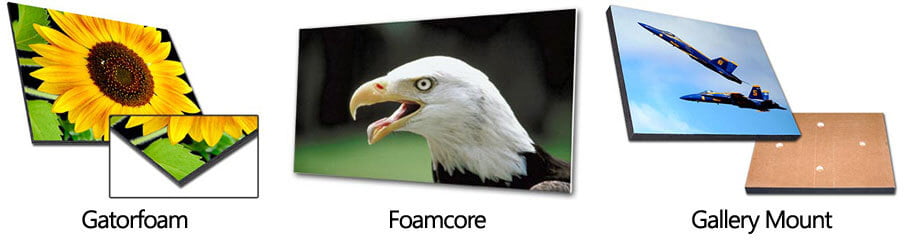 Mounted eagle photo print.